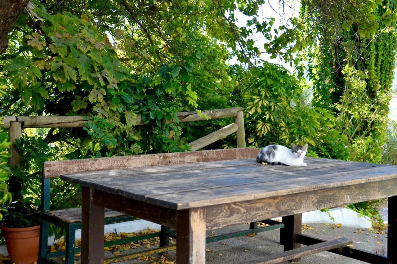 Ecoalbergue Rural De アルゴドナレス