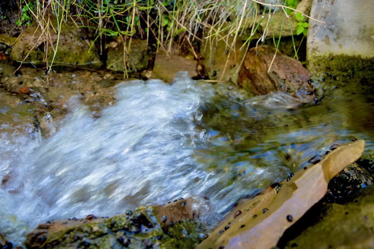 Lantställe Ecoalbergue Rural De Algodonales