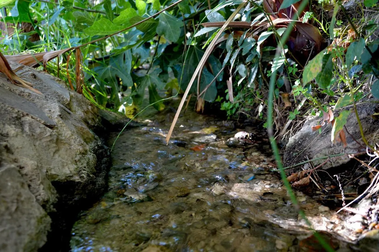 Ecoalbergue Rural De Algodonales Spagna